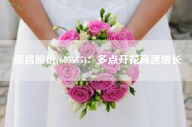 德昌股份(605555)：多点开花高速增长