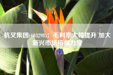 杭叉集团(603298)：毛利率大幅提升 加大新兴市场拓展力度
