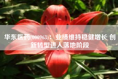 华东医药(000963)：业绩维持稳健增长 创新转型进入落地阶段
