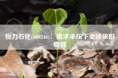 恒力石化(600346)：需求承压下业绩依旧稳健