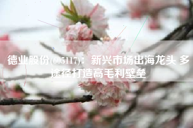 德业股份(605117)：新兴市场出海龙头 多途径打造高毛利壁垒