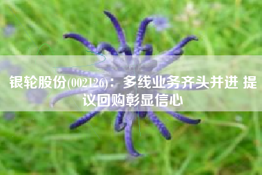银轮股份(002126)：多线业务齐头并进 提议回购彰显信心