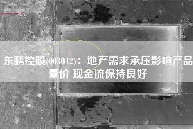东鹏控股(003012)：地产需求承压影响产品量价 现金流保持良好
