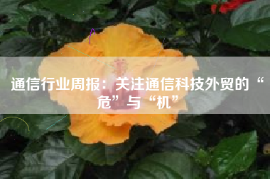 通信行业周报：关注通信科技外贸的“危”与“机”