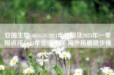 安图生物(603658)2024年年报及2025年一季报点评：24年业绩承压 海外拓展稳步推进
