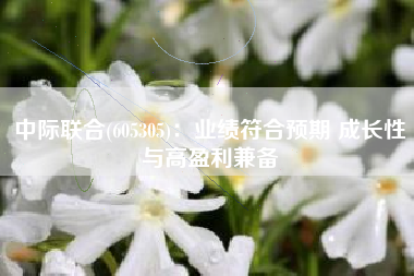 中际联合(605305)：业绩符合预期 成长性与高盈利兼备