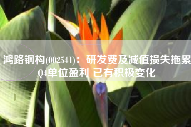 鸿路钢构(002541)：研发费及减值损失拖累Q4单位盈利 已有积极变化