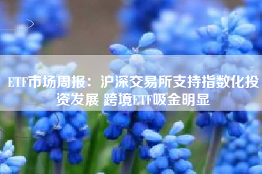 ETF市场周报：沪深交易所支持指数化投资发展 跨境ETF吸金明显