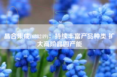 晶合集成(688249)：持续丰富产品种类 扩大高阶晶圆产能