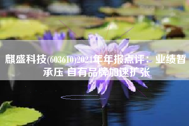 麒盛科技(603610)2024年年报点评：业绩暂承压 自有品牌加速扩张