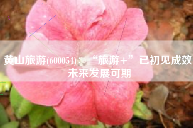 黄山旅游(600054)：“旅游+”已初见成效 未来发展可期
