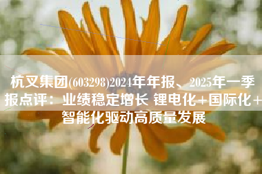 杭叉集团(603298)2024年年报、2025年一季报点评：业绩稳定增长 锂电化+国际化+智能化驱动高质量发展