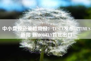 中小盘投资策略周报：TESLA发布OPTIMUS新图 新MODELY首批出口