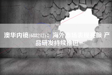 澳华内镜(688212)：海外市场表现亮眼 产品研发持续推进