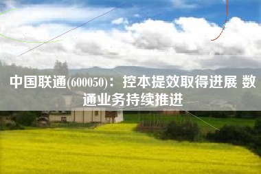 中国联通(600050)：控本提效取得进展 数通业务持续推进