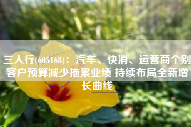 三人行(605168)：汽车、快消、运营商个别客户预算减少拖累业绩 持续布局全新增长曲线