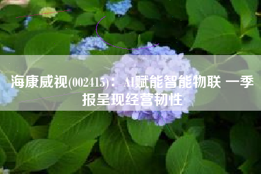 海康威视(002415)：AI赋能智能物联 一季报呈现经营韧性