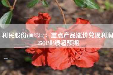 利民股份(002734)：重点产品涨价兑现利润 25Q1业绩超预期