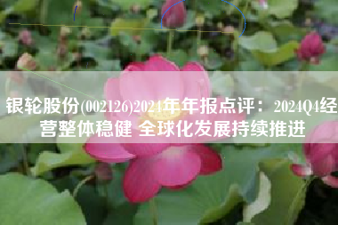 银轮股份(002126)2024年年报点评：2024Q4经营整体稳健 全球化发展持续推进