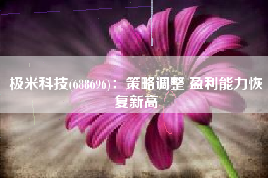 极米科技(688696)：策略调整 盈利能力恢复新高