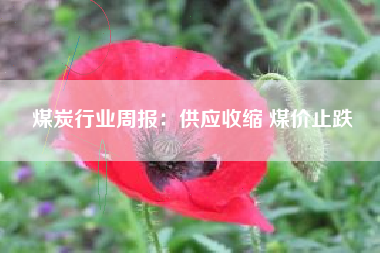 煤炭行业周报：供应收缩 煤价止跌