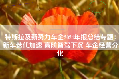 特斯拉及新势力车企2024年报总结专题：新车迭代加速 高阶智驾下沉 车企经营分化
