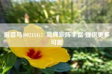 报喜鸟(002154)：品牌矩阵丰富 提供更多可能