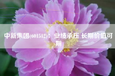 中新集团(601512)：业绩承压 长期价值可期