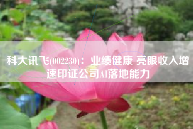 科大讯飞(002230)：业绩健康 亮眼收入增速印证公司AI落地能力