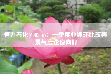 恒力石化(600346)：一季度业绩环比改善 景气度企稳向好