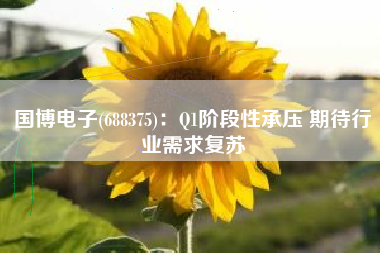 国博电子(688375)：Q1阶段性承压 期待行业需求复苏