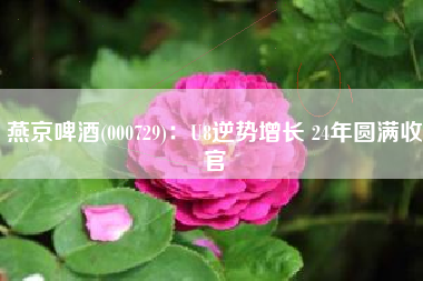 燕京啤酒(000729)：U8逆势增长 24年圆满收官