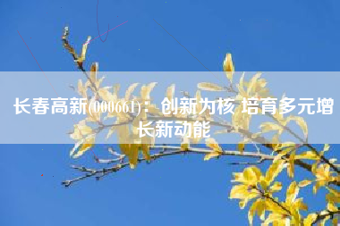 长春高新(000661)：创新为核 培育多元增长新动能
