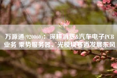 万源通(920060)：深耕消费&汽车电子PCB业务 乘势服务器、光模块赛道发展东风