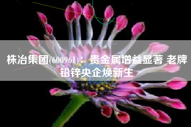 株冶集团(600961)：贵金属增益显著 老牌铅锌央企焕新生