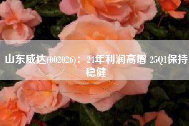 山东威达(002026)：24年利润高增 25Q1保持稳健