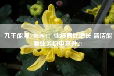 九丰能源(605090)：业绩同比增长 清洁能源业务稳中求升27