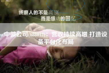中微公司(688012)：营收持续高增 打造设备平台化布局
