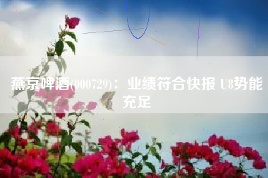 燕京啤酒(000729)：业绩符合快报 U8势能充足