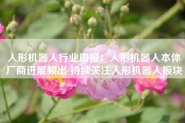 人形机器人行业周报：人形机器人本体厂商进展频出 持续关注人形机器人板块