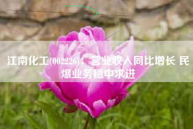 江南化工(002226)：营业收入同比增长 民爆业务稳中求进