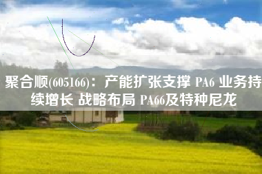 聚合顺(605166)：产能扩张支撑 PA6 业务持续增长 战略布局 PA66及特种尼龙