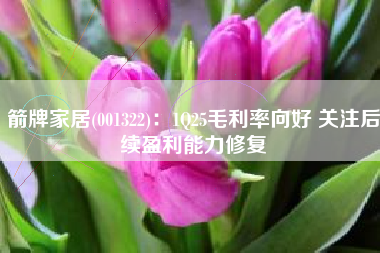 箭牌家居(001322)：1Q25毛利率向好 关注后续盈利能力修复