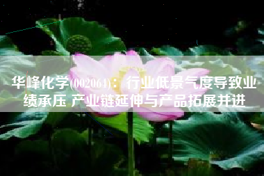 华峰化学(002064)：行业低景气度导致业绩承压 产业链延伸与产品拓展并进
