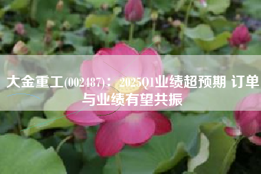 大金重工(002487)：2025Q1业绩超预期 订单与业绩有望共振