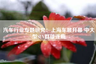 汽车行业专题研究：上海车展开幕 中大型SUV群雄逐鹿