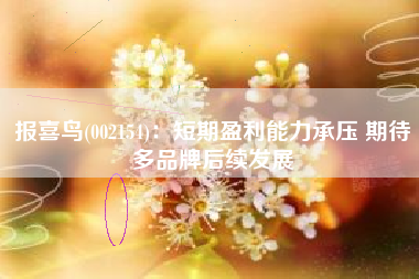 报喜鸟(002154)：短期盈利能力承压 期待多品牌后续发展