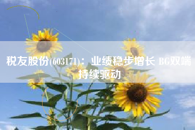 税友股份(603171)：业绩稳步增长 BG双端持续驱动