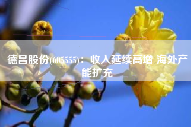 德昌股份(605555)：收入延续高增 海外产能扩充