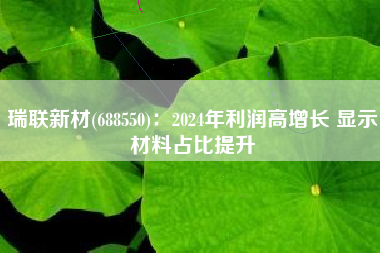 瑞联新材(688550)：2024年利润高增长 显示材料占比提升